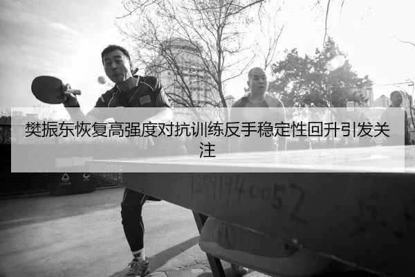 樊振东恢复高强度对抗训练反手稳定性回升引发关注
