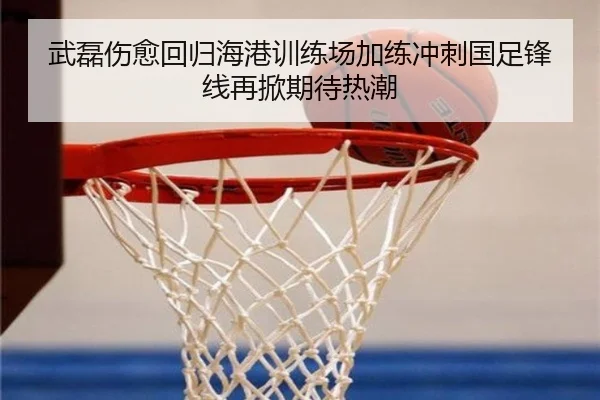 武磊伤愈回归海港训练场加练冲刺国足锋线再掀期待热潮